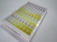 ELISA Kit for Endonuclease Domain Containing Protein 1 (ENDOD1)