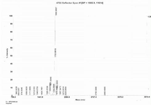 Synthetic Cross Linked N-Telopeptide Of Type I Collagen (NTXI)