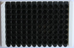 Multiplex Assay Kit for N-Terminal Pro-C-Type Natriuretic Peptide (NT-ProCNP) ,etc. by FLIA (Flow Luminescence Immunoassay)