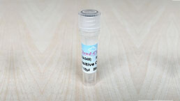 Positive Control  for Antibody