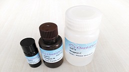 MTT Cell Proliferation and Cytotoxicity Assay Kit