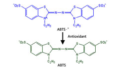 Total Anti-Oxidative Capability Assay Kit（A015-2）