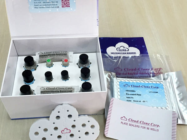 ELISA Kit for N-Terminal Pro-Brain Natriuretic Peptide (NT-ProBNP)