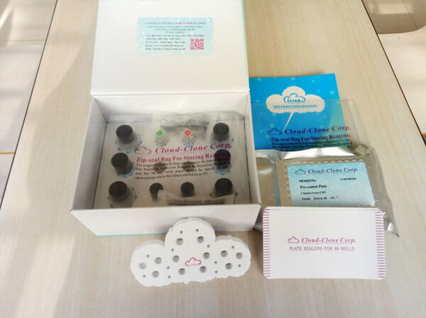 Mini Samples ELISA Kit for Chemokine C-X3-C-Motif Ligand 1 (CX3CL1)