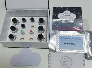 Multiplex Assay Kit for N-Terminal Pro-C-Type Natriuretic Peptide (NT-ProCNP) ,etc. by FLIA (Flow Luminescence Immunoassay)