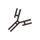 Labelled antibody